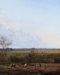 Vergezicht de weiden bij 